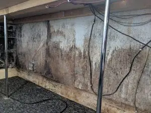 Free mould survey, Mould surveyor, Mould survey, Mould report, Mould specialist, Condensation survey, Condensation expert, Condensation and mould specialist, Condensation treatment, mould in old house, moisture coming through walls, inside walls are wet, condensation under floorboards, condensation advice, condensation on outside walls, wet mould walls, mould coming through walls, condensation in rented property, fixing condensation on walls, buying a house with mould, condensation fix, mould on walls from condensation, moisture inside walls, landlord condensation problems, cause of condensation in house condensation in houses uk, house condensation problems