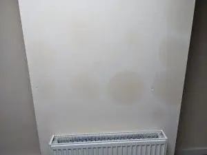 Damp found on a wall during a damp and timber survey.