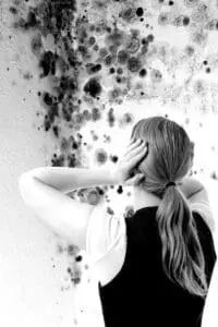 mould surveyor Fleetwood, mould survey cost Fleetwood, free mould survey Fleetwood