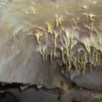 dry-rot-under-kitchen-floor